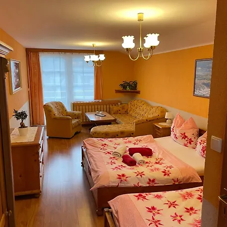 Pensionat Svycarsky Dum