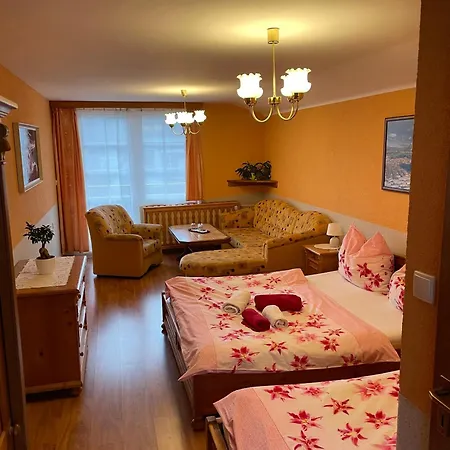 Svycarsky Dum Pensionat