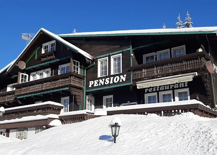 بيت ضيافة Svycarsky Dum