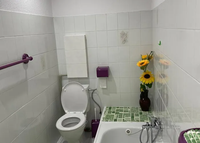 Svycarsky Dum بيت ضيافة