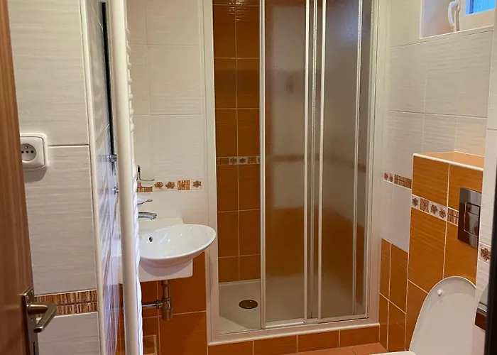 Гостевой дом Svycarsky Dum